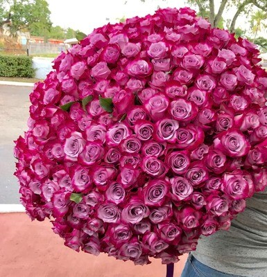 300 Deep Purple Roses. Premium Rose Bouquet