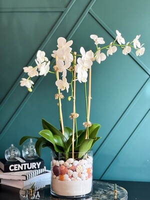 By The Sea | Orchids Design In Vase