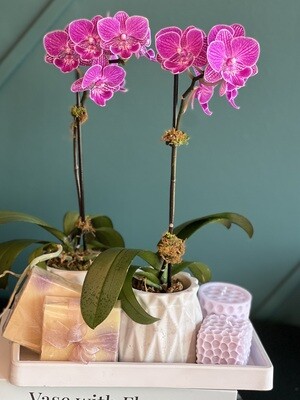 Gift Set with mini orchids and bath goods