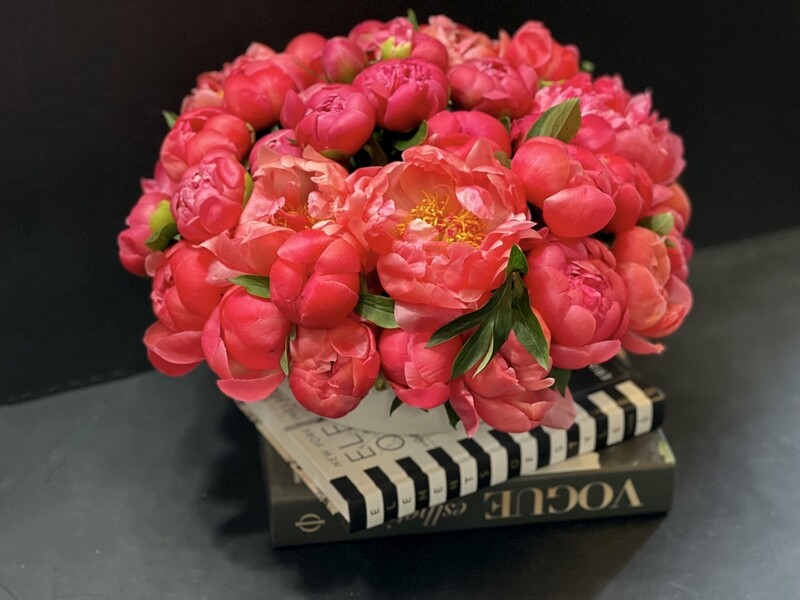 50 Coral Peonies In Low Modern Cement Vase