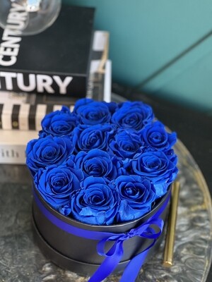 Royal Blue Preserved Roses in a box