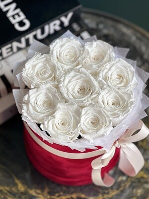 White Forever Roses in a box