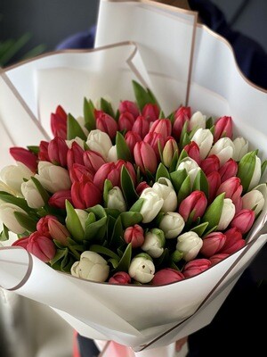 50 white and red Tulips Bouquet