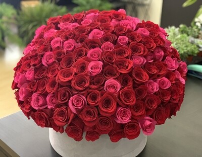 150 Red and hot pink roses in a box