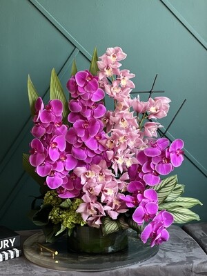Modern Orchids | Orchids Design in ceramic vase