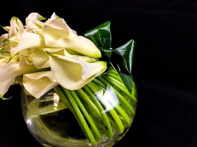 White Calla Lilies Arrangement
