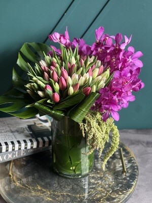 Tulips and Orchids