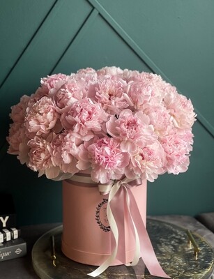50 Pink Peonies in a box