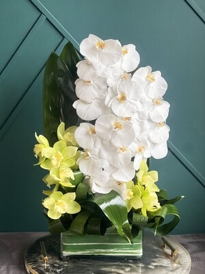 "Modern Lines" - Orchids arrangement