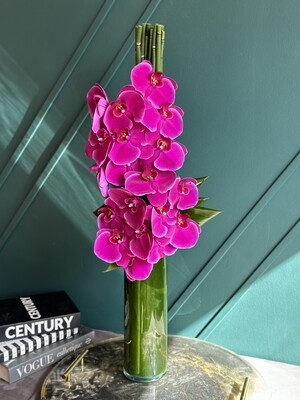 Phalaenopsis orchids tall design