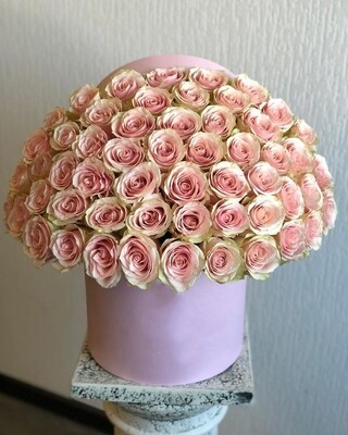 75 light pink roses design in a box