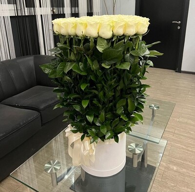 75 Tall Roses Design in a box