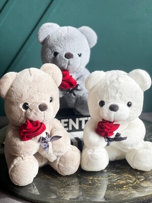 Lovely Hug Roses Teddy Bear. Plush Pillow Stuffed Soft Toy