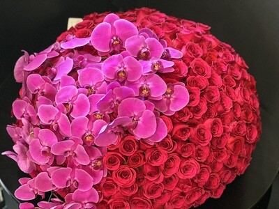300 Hot Pink Roses and Orchids