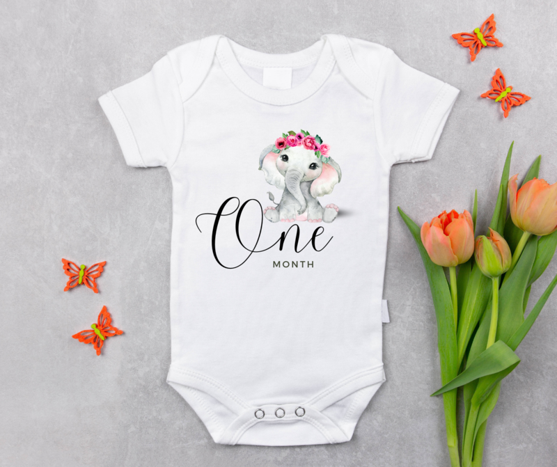 Milestone Onesie