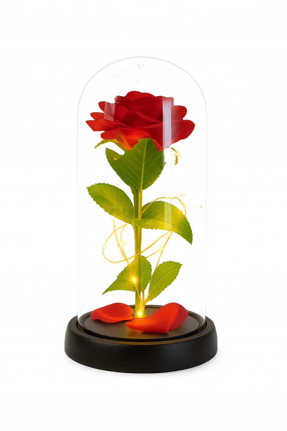 Rosa Eterna 21.5 cm