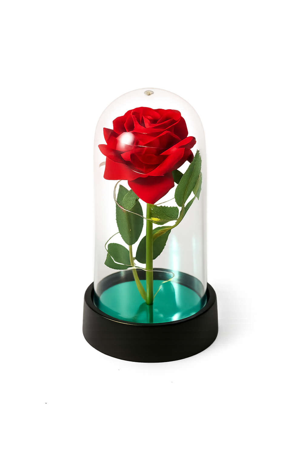 Rosa Eterna 15.5 cm