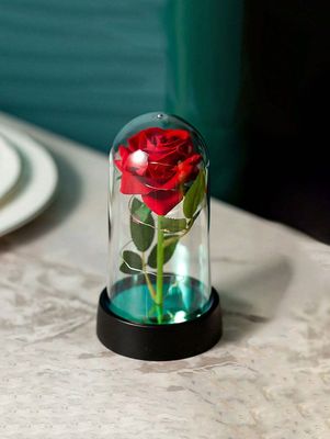 Rosa Eterna 15.5 cm