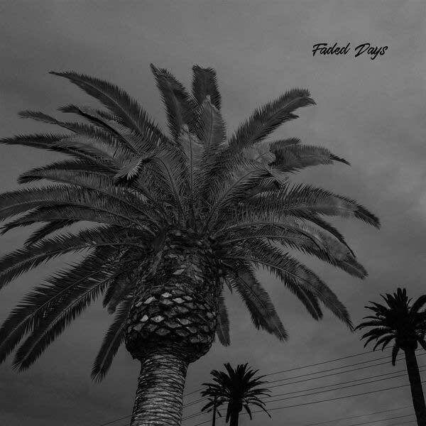 ACTUAL WOLF - Faded Days