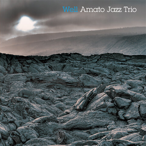 Amato Jazz Trio - Well