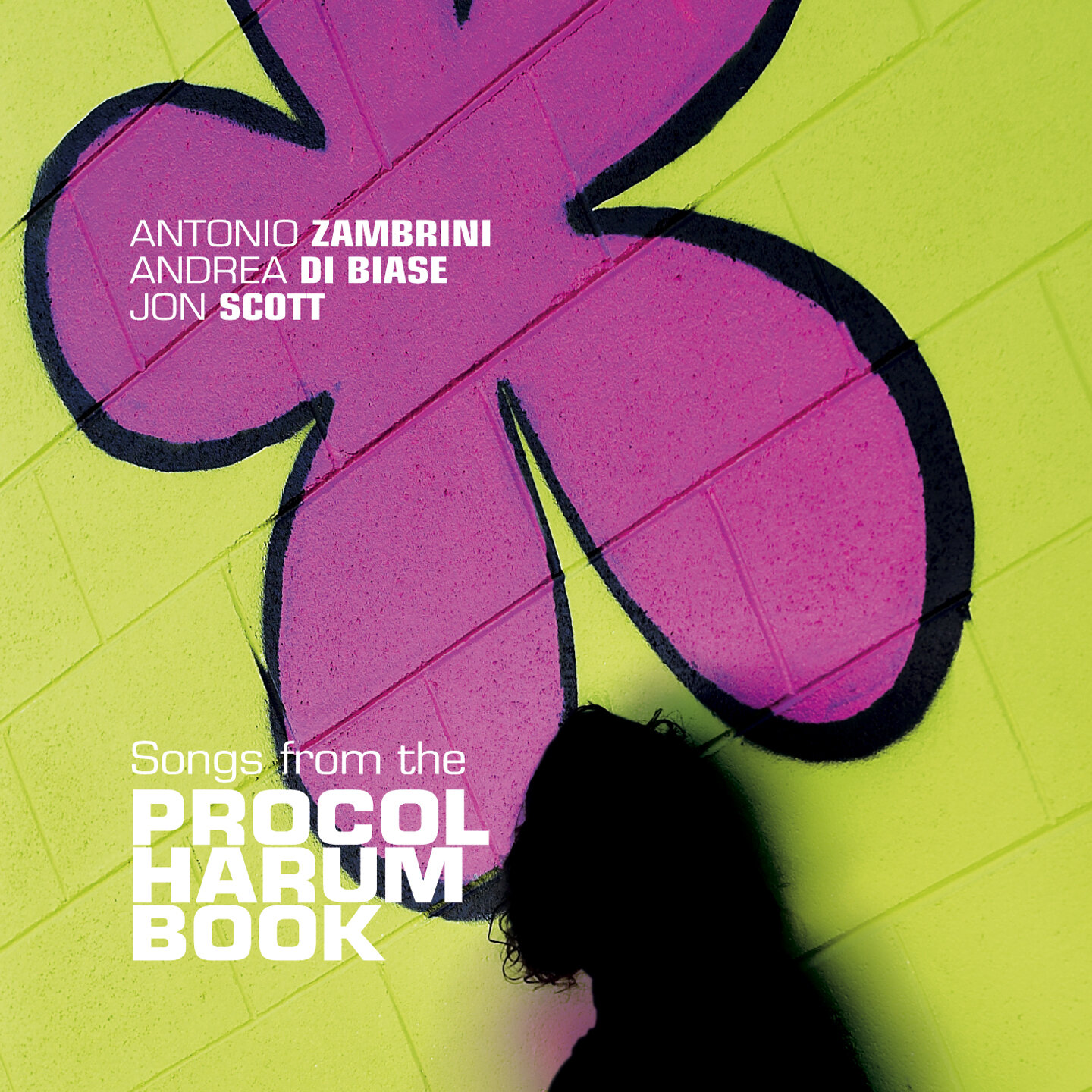 A.Zambrini/A.Di Biase/J.Scott - Songs Procol Harum Book