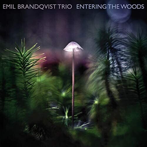 EMIL BRANDQVIST TRIO-Entering The Woods