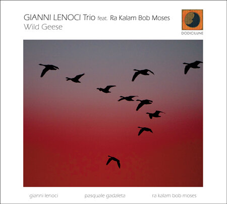 Gianni Lenoci Feat. Kalam Bob Moses-Wild Geese