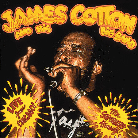 James Cotton - Live From Chicago
