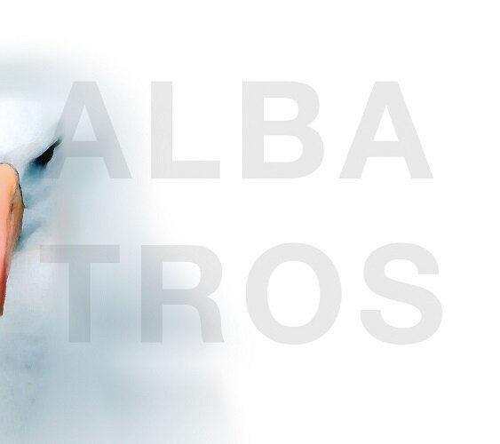 NORBERT DALSASS & E-VOLUTION - Albatros