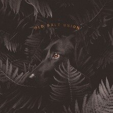 OLD SALT UNION - Where The Dogs Don't Bite