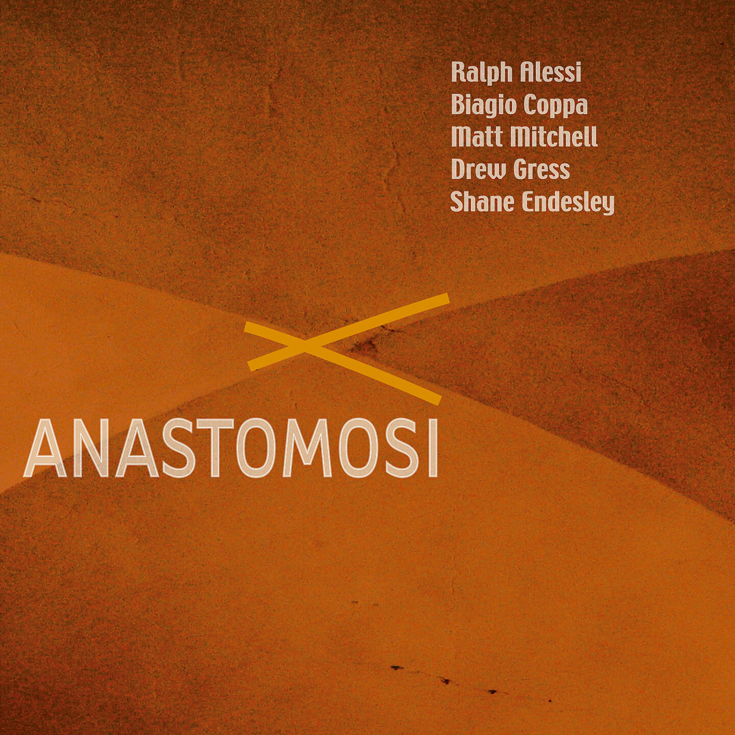 R.Alessi/B.Coppa/M.Mitchell/D.Gress - Anastomosi