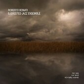 ROBERTO BONATI & BJERGSTED JAZZ ENS. - Nor Sea Nor Land Nor Salty Waves