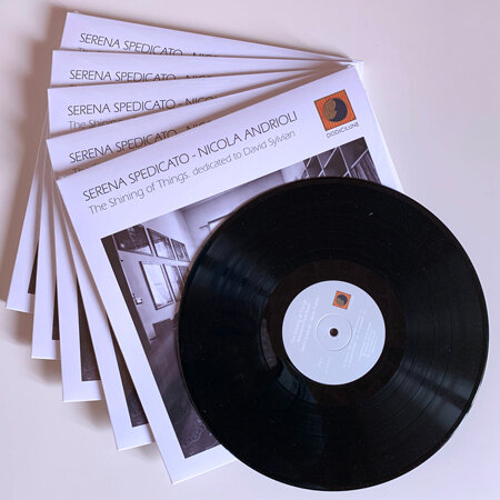 Serena Spedicato / Nicola Andrioli (Lp)-The Shining Of Things - Dedicated To David Sylvian