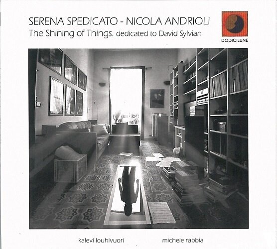Serena Spedicato / Nicola Andrioli-The Shining Of Things - Dedicated To David Sylvian