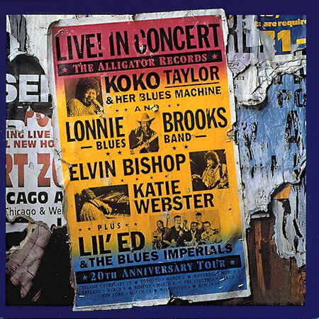 THE ALLIGATOR RECORD - 20th Anniversary Tour