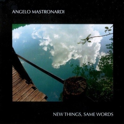 ANGELO MASTRONARDI - New Things Same Words