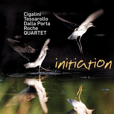 Cigalini/Tessarollo/Dalla Porta/Roche Quartet - Initiation Cigalini/Tessarollo/Dalla Porta/Roche Quartet - Initiation