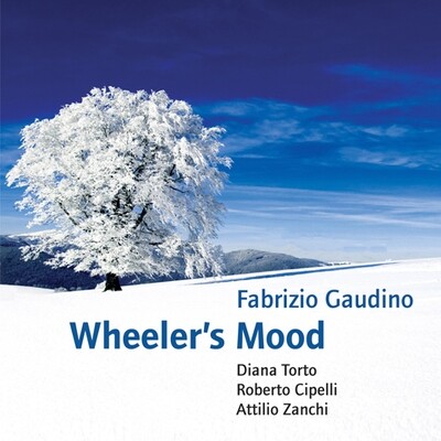 Fabrizio Gaudino - Wheeler's Mood