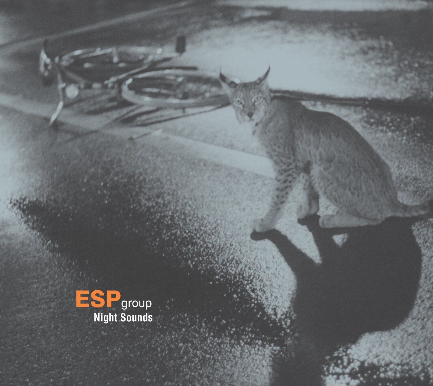 ESP Group-Night Sounds
