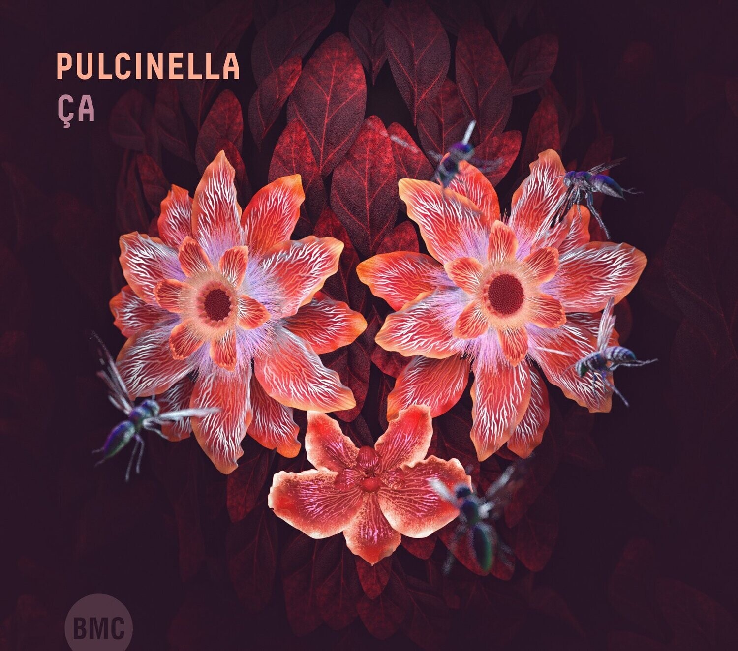 Pulcinella-Ça