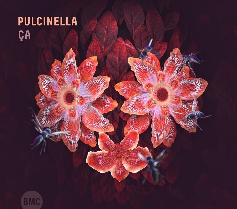 Pulcinella-Ça
