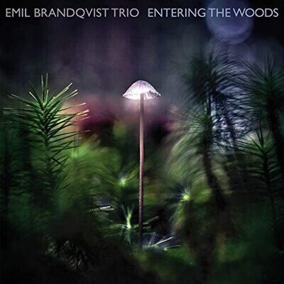 EMIL BRANDQVIST TRIO (LP)-Entering The Woods