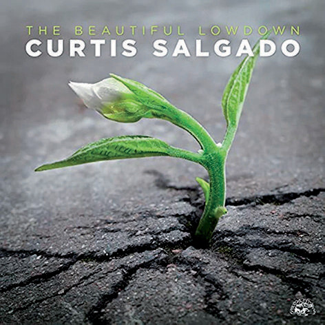 Curtis Salgado - The Beautiful Lowdown