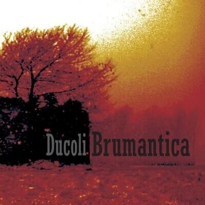 Alessandro Ducoli - Brumantica