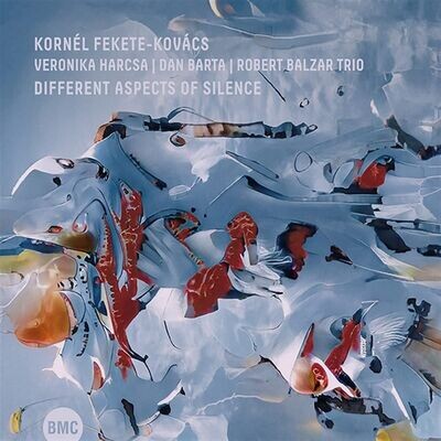 Kornél Fekete-Kovács – Different Aspects Of Silence