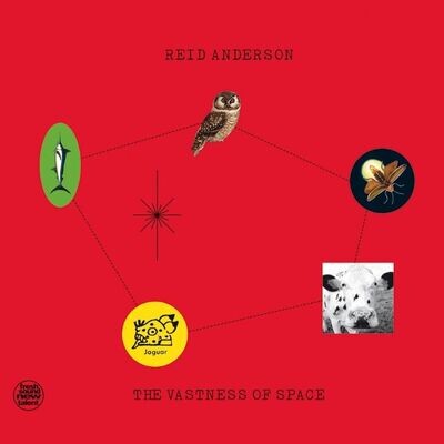 REID ANDERSON (2 LP) - The Vastness Of Space