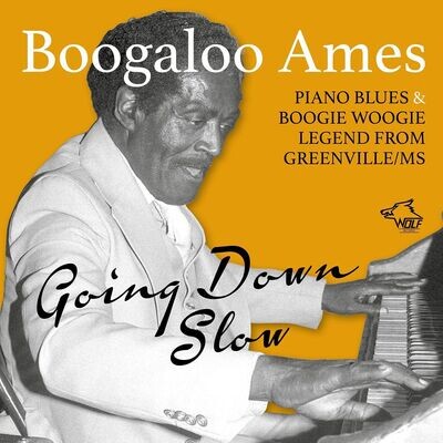 BOOGALOO AMES - Going Down Slow