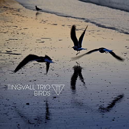 TINGVALL TRIO (LP) - Birds