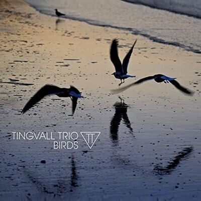 TINGVALL TRIO (LP) - Birds
