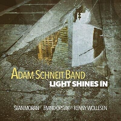 ADAM SCHNEIT BAND - Light Shines In